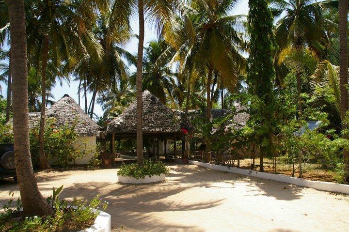 Ndame Beach Lodge Paje Dış mekan fotoğraf