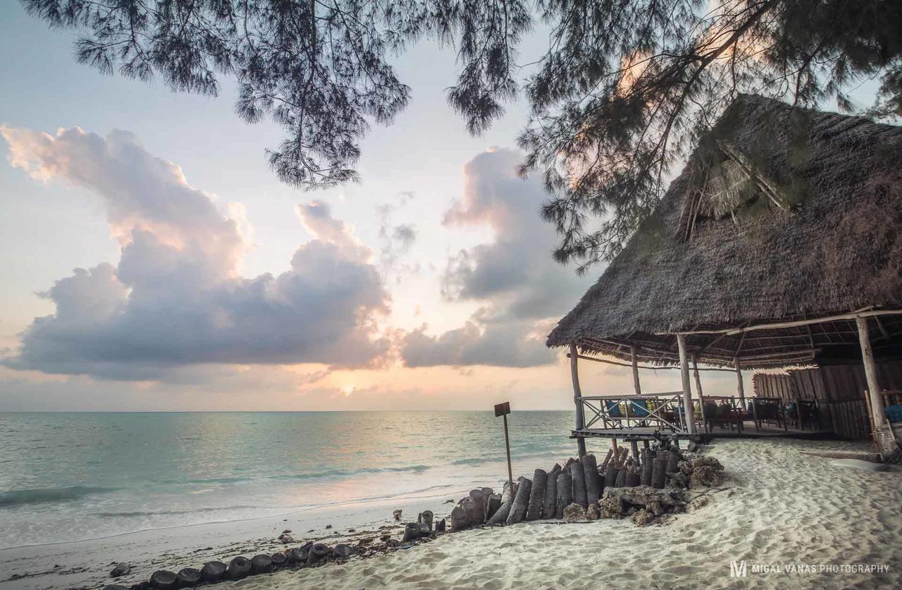Ndame Beach Lodge Paje Dış mekan fotoğraf
