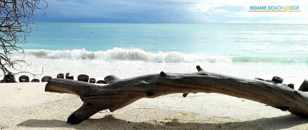 Ndame Beach Lodge Paje Dış mekan fotoğraf