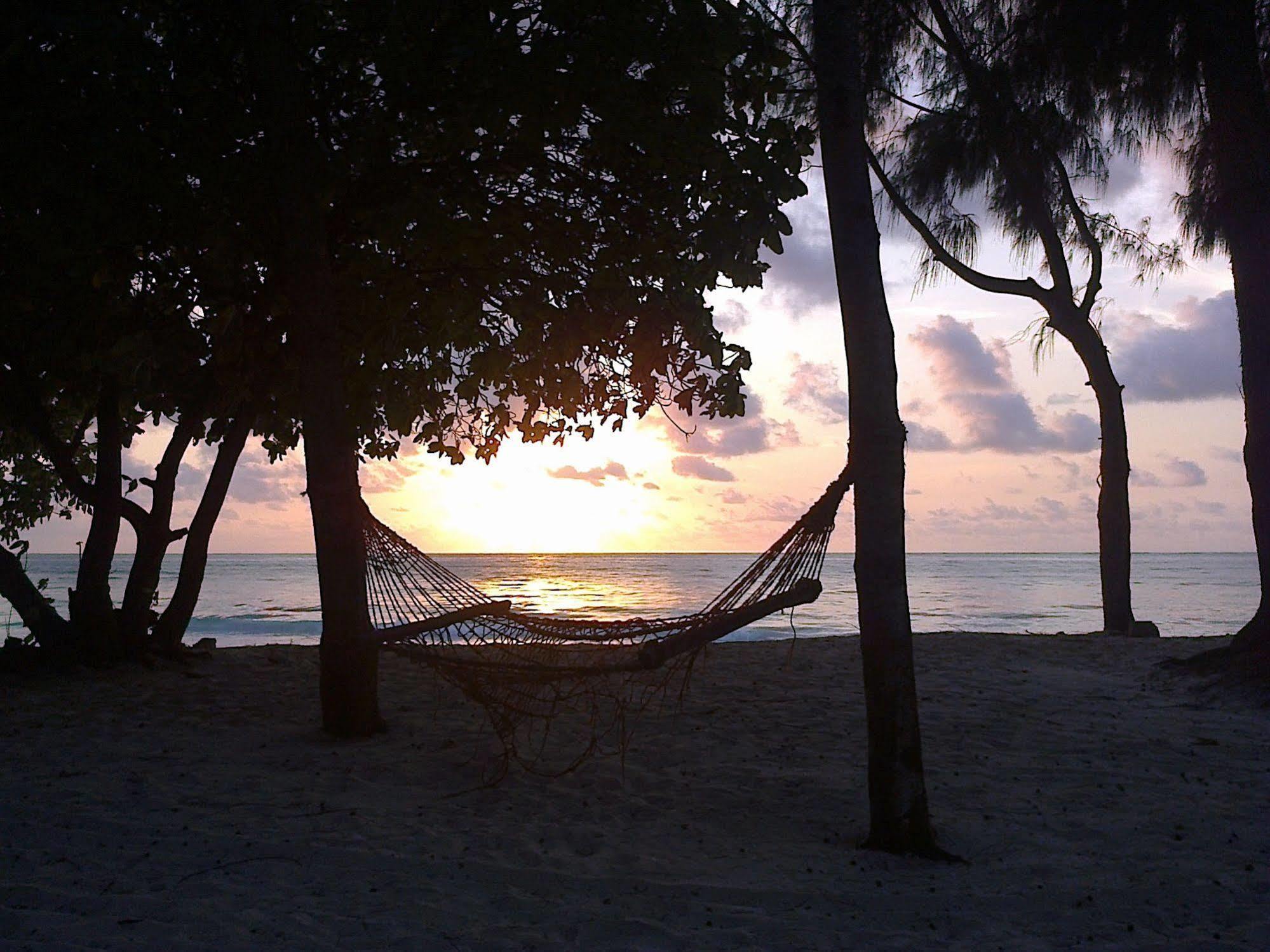 Ndame Beach Lodge Paje Dış mekan fotoğraf